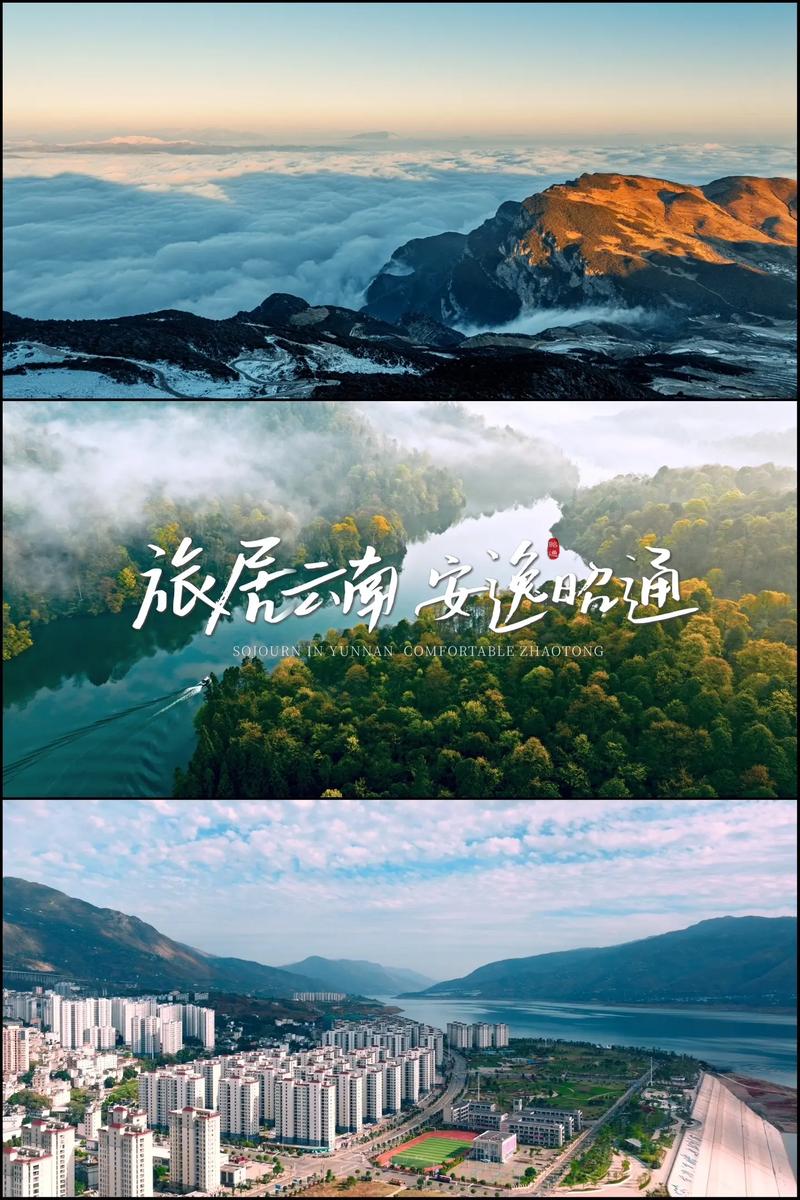 活动策划：企业内外部环境中的艺术